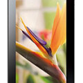 Huawei Mediapad 7 Vogue