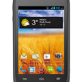 Zte Director