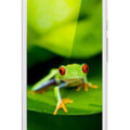 Honor 3